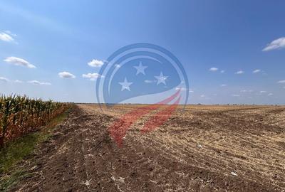 Teren intravilan de vanzare in Pielesti - 2