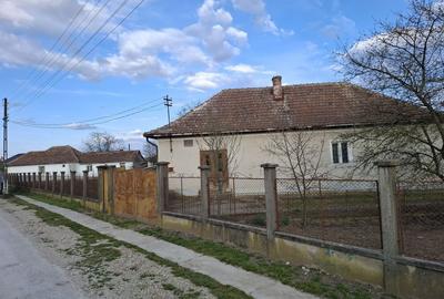 Casă cu 4 camere în Diosig - 5