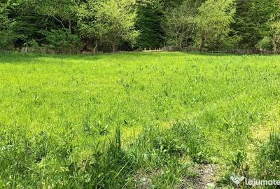 Teren de 2964 mp, în Gladna Montană - 2