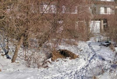 Teren agricol intravilan de 2255 mp, în Central - 3