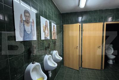 Cladire restaurant S + P + M, 512 mp utili, cu 462 mp teren - 2