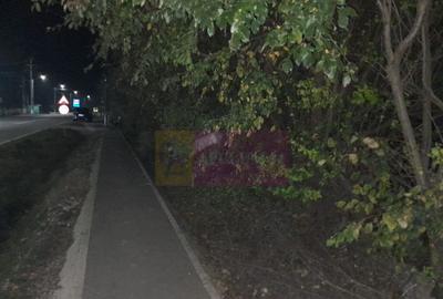 BARCANESTI - casa +curte+teren 16k mp - 3