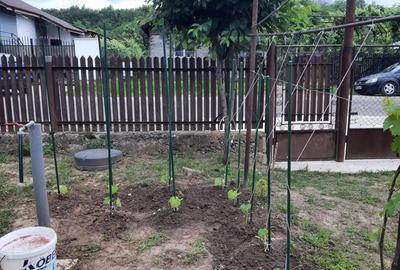 Vanzare teren si casa batraneasca in Dumbravesti, Prahova - 1