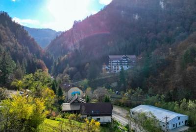 Moieciu, sat Cheia,  zona de poveste. Varianta schimb imobiliar Ilfov, Bucuresti - 10