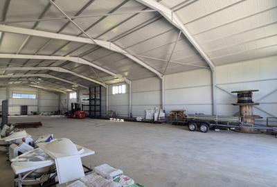 Hala noua | Magurele - DNCB | 600mp - 2