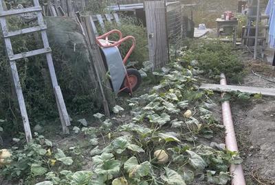 Casă cu 4 camere în Orizontului - 2