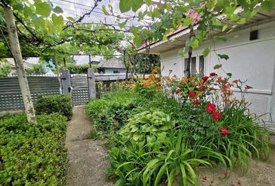 Casă cu 4 camere în Țibucani - 4