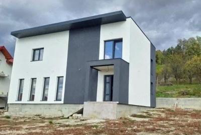 Casă cu 3 camere cu Teren 1620 Mp în Zigoneni - 4