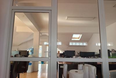 Proprietar vand doua vile in zona Calea Plevnei - 5