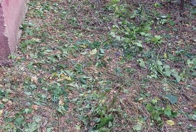 Casă cu 3 camere cu Teren 1116 Mp în Hotarele - 2