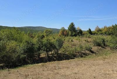 Casă cu 2 camere în Chicerea - 7