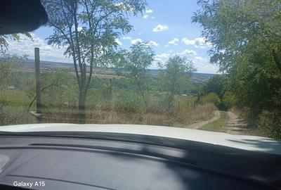 RECO Teren intravilan Oradea, sub 22 euro/mp - 3