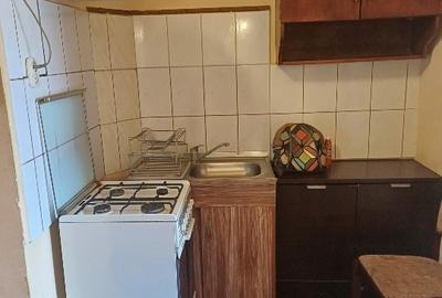 Garsoniera- Tractorul- Pet friendly - 3
