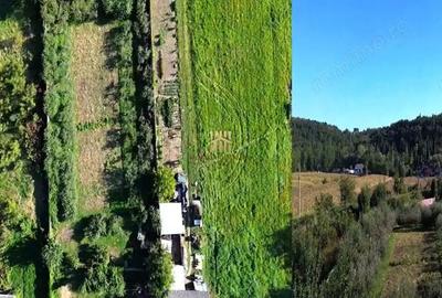 Teren de 1594 mp, în Șcheia - 5