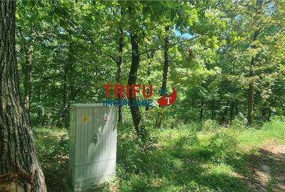 Teren intravilan 3177 mp de vanzare Alba-Micesti spre padure cu PUZ aprobat - 2