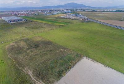 In apropierea aeroportului, 50.000 mp extravilan, Ghimbav, Brasov - 6