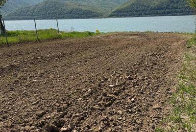 Teren de 1300 mp, în Gornea - 8
