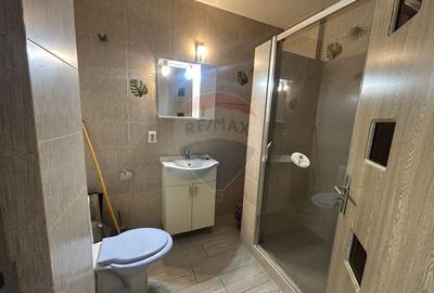 Apartament cu 1 camere de inchiriat in zona Vasile Alecsandri - 9