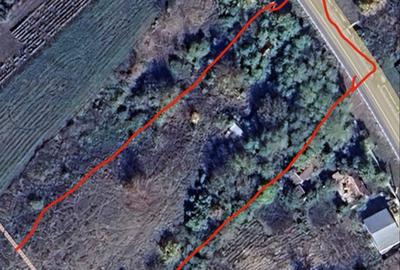 Spațiu comercial, în Central