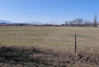 Teren de 11000 mp, în Prejmer - 3