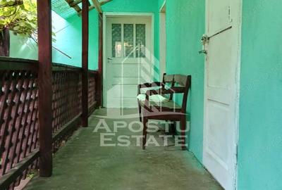 Casa batraneasca de vanzare | 4 camere | Hunedoara | Micane?ti - 10