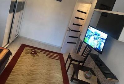 Garsonieră semidecomandată în Craiovița Nouă - 2