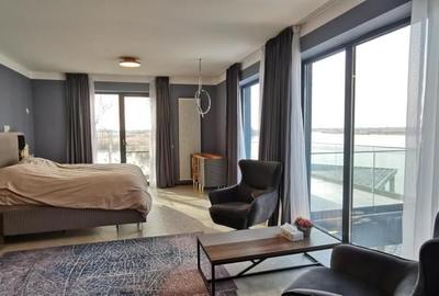 Snagov 2022- Vila la lac piscina si ponton, teren 2050mp - 6