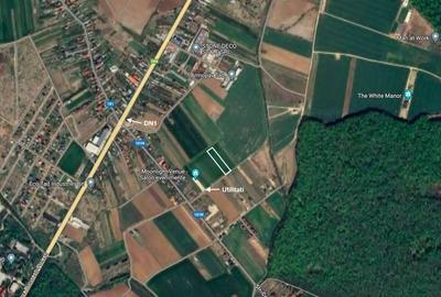 Teren 5000 mp, în apropierea Pădurii Ciolpani și DN1