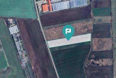 Teren arabil intravilan 10.333mp - Livada - 4