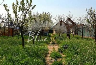 Casă cu 2 camere cu Canalizare în Mihail Kogălniceanu - 10