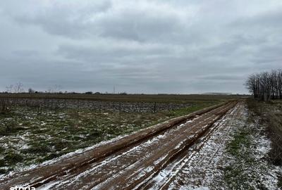 Spațiu comercial, în Coșoveni - 4