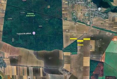 Gradistea - Tarla 34, teren 16.450 mp. in apropiere de DJ 200 si Padure - 2