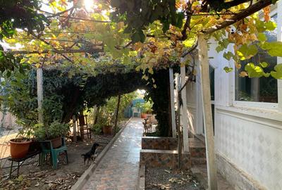 Casă cu 4 camere în Jurilovca - 4