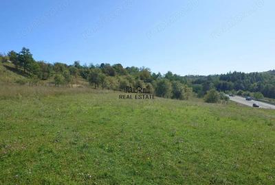 Teren de 8757 mp, în Luncoiu de Sus - 15