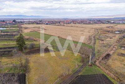 Teren 10000 mp in Extravilan, Bod, Brasov- COMISION 0% - 19