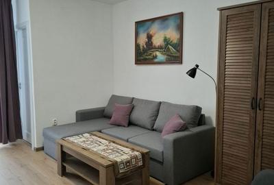 Garsonieră semidecomandată în Dosu Bricii