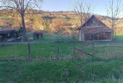 Casă cu 2 camere cu Teren 1568 Mp în Central - 2
