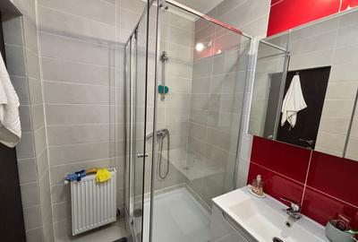 Apartament 2 cam,suprafata utila 46mp,spre inchiriere- Parcul Belvedere,Sibiu - 13