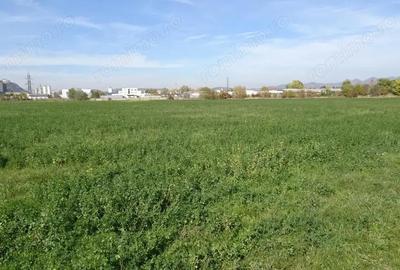 Teren de 43000 mp, în Central - 6