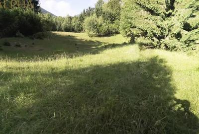 Teren de 16945 mp, în Colibița - 2