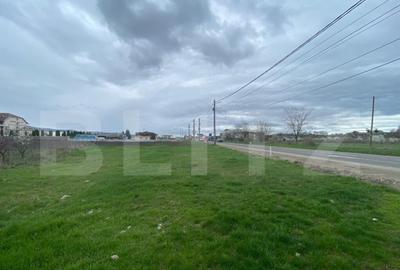 Teren intravilan, acces la autostrada, in Luna langa Campia - 4