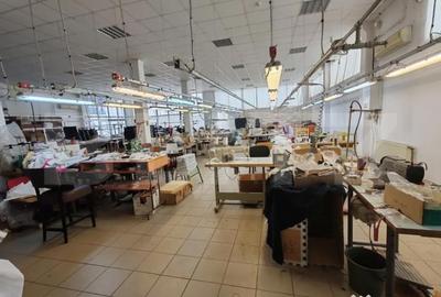 Spațiu comercial, de 400 mp, în Jibou - 13