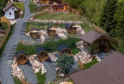 Casă cu 6 camere cu Teren 3900 Mp în Mediaș - 4