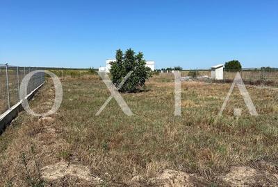 OX662 Casa pe un singur nivel, in Pischia - 8