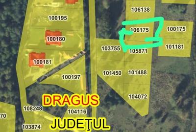 Teren de 1600 mp, în Voila - 1