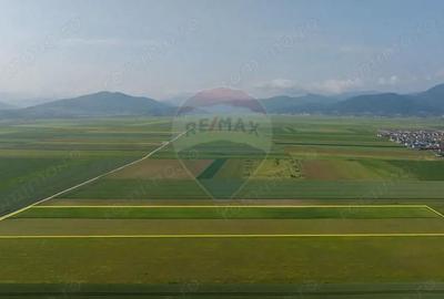 Teren 42,000mp Tarlungeni / Strada Izvor - 5