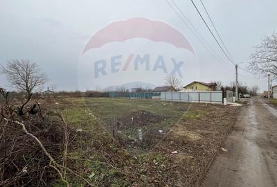 Teren Construcții intravilan de 1001 mp, în Islaz - 8