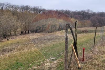 Teren 2925 mp comuna Mitocu Dragomirnei - 4