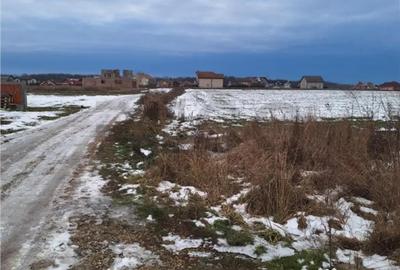 Teren în Sânmartin - 6