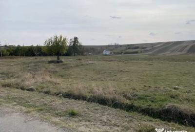 Teren de 5000 mp, în Malu Mare